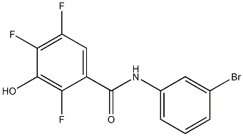 N-(3-bromophenyl)-2,4,5-trifluoro-3-hydroxybenzamide 结构式