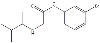 N-(3-bromophenyl)-2-[(3-methylbutan-2-yl)amino]acetamide Structure