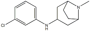 N-(3-chlorophenyl)-8-methyl-8-azabicyclo[3.2.1]octan-3-amine 化学構造式