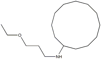 N-(3-ethoxypropyl)cyclododecanamine Structure
