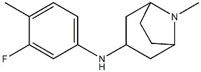 N-(3-fluoro-4-methylphenyl)-8-methyl-8-azabicyclo[3.2.1]octan-3-amine Struktur