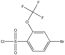 2-(trifluoromethoxy)-4-bromobenzenesulfonyl chloride|2-(三氟甲氧基)-4-溴苯磺酰氯