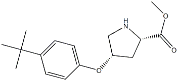 METHYL (2S,4S)-4-[4-(TERT-BUTYL)PHENOXY]-2-PYRROLIDINECARBOXYLATE