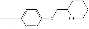 4-(TERT-BUTYL)PHENYL 2-PIPERIDINYLMETHYL ETHER,,结构式