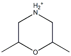 2,6-dimethylmorpholinium ion 结构式