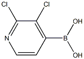2,3-二氯-4-吡啶硼酸 结构式