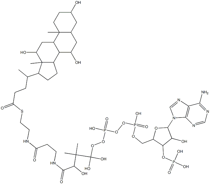 コリルCoA 化学構造式