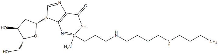  2-(4,9,13-triazatridecyl)-2'-deoxyguanosine