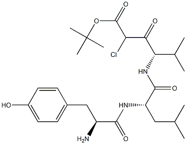 tert-butoxycarbonyl-tyrosyl-leucyl-valyl-chloromethane Structure