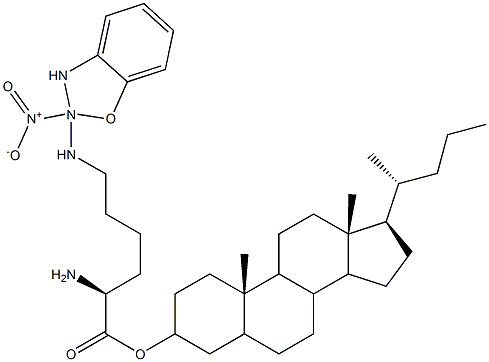 cholyl-2-(4-N-nitrobenzoxadiazolyl)aminobutyl-glycine|