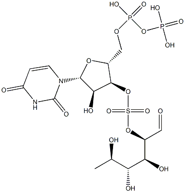 uridine diphosphate sulfoquinovose