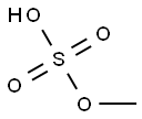 MONOMETHYLSULPHATE