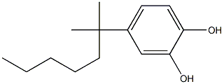 4-T-OCTYLCATECHOL|