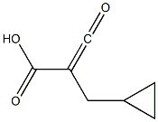 ALPHA-KETOMETHYLENECYCLOPROPYLPROPIONICACID Structure