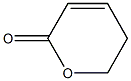PENTENOICACIDLACTONE 化学構造式