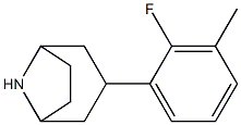  3-(2-fluoro-3-methylphenyl)-8-azabicyclo[3.2.1]octane