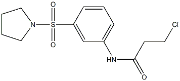 3-CHLORO-N-[3-(PYRROLIDIN-1-YLSULFONYL)PHENYL]PROPANAMIDE,,结构式