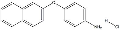 4-(2-NAPHTHYLOXY)ANILINE HYDROCHLORIDE 化学構造式