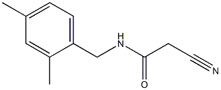 N-(2,4-dimethylbenzyl)-2-cyanoacetamide|