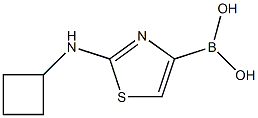 2-CYCLOBUTYLAMINOTHIAZOLE-4-BORONIC ACID Structure