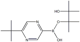 5-(TERT-BUTYL)PYRAZINE-2-BORONIC ACID PINACOL ESTER,,结构式