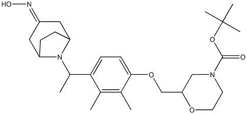 2-{4-[1-(3-HYDROXYIMINO-8-AZA-BICYCLO[3.2.1]OCT-8-YL)-ETHYL]-2,3-DIMETHYL-PHENOXYMETHYL}-MORPHOLINE-4-CARBOXYLIC ACID TERT-BUTYL ESTER Struktur