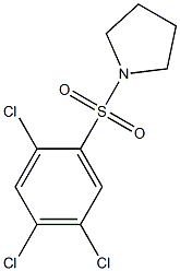 1-[(2,4,5-trichlorophenyl)sulfonyl]pyrrolidine