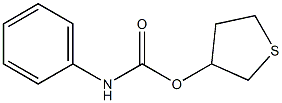 tetrahydrothiophen-3-yl N-phenylcarbamate|