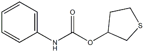  tetrahydrothiophen-3-yl N-phenylcarbamate