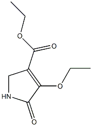 ethyl 4-ethoxy-5-oxo-2,5-dihydro-1H-pyrrole-3-carboxylate 化学構造式