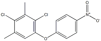 2,4-dichloro-1,3-dimethyl-5-(4-nitrophenoxy)benzene 化学構造式