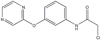 2-chloro-N-[3-(2-pyrazinyloxy)phenyl]acetamide Struktur