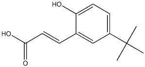 (E)-3-(5-tert-butyl-2-hydroxyphenyl)acrylic acid,,结构式