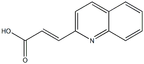 (E)-3-(quinolin-2-yl)acrylic acid 化学構造式