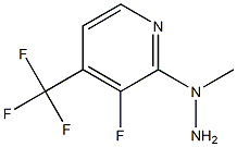 1-(3-fluoro-4-(trifluoromethyl)pyridin-2-yl)-1-methylhydrazine 结构式