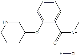 N-甲基-2-(3-哌啶氧基)苯甲酰胺 结构式