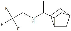 (1-{bicyclo[2.2.1]heptan-2-yl}ethyl)(2,2,2-trifluoroethyl)amine 结构式