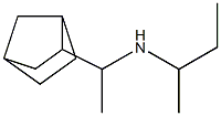 (1-{bicyclo[2.2.1]heptan-2-yl}ethyl)(butan-2-yl)amine