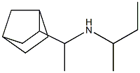 (1-{bicyclo[2.2.1]heptan-2-yl}ethyl)(butan-2-yl)amine 结构式