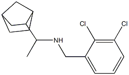 (1-{bicyclo[2.2.1]heptan-2-yl}ethyl)[(2,3-dichlorophenyl)methyl]amine|