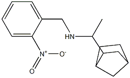 (1-{bicyclo[2.2.1]heptan-2-yl}ethyl)[(2-nitrophenyl)methyl]amine,,结构式