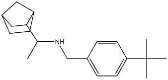 (1-{bicyclo[2.2.1]heptan-2-yl}ethyl)[(4-tert-butylphenyl)methyl]amine