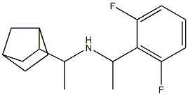 (1-{bicyclo[2.2.1]heptan-2-yl}ethyl)[1-(2,6-difluorophenyl)ethyl]amine|
