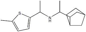  (1-{bicyclo[2.2.1]heptan-2-yl}ethyl)[1-(5-methylthiophen-2-yl)ethyl]amine