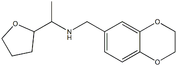 (2,3-dihydro-1,4-benzodioxin-6-ylmethyl)[1-(oxolan-2-yl)ethyl]amine