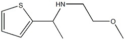 (2-methoxyethyl)[1-(thiophen-2-yl)ethyl]amine 结构式