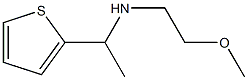  (2-methoxyethyl)[1-(thiophen-2-yl)ethyl]amine