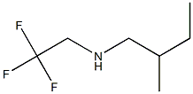 (2-methylbutyl)(2,2,2-trifluoroethyl)amine,,结构式