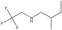  (2-methylbutyl)(2,2,2-trifluoroethyl)amine