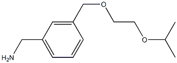 (3-{[2-(propan-2-yloxy)ethoxy]methyl}phenyl)methanamine